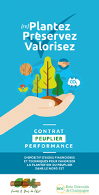 Contrat Peuplier Performance, initiative du Groupe THEBAULT pour garantir sa ressource bois en Peuplier